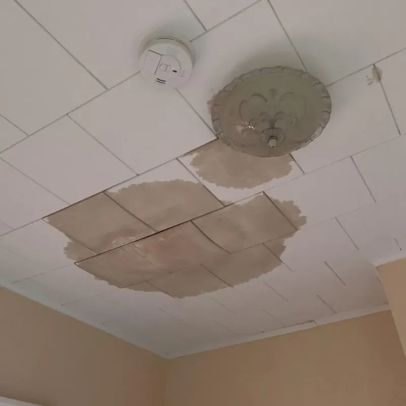 Ceiling Water Damage Repair in Oostburg, WI
