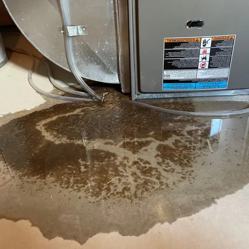 Pipe Burst and Leak Restoration in Oostburg, WI